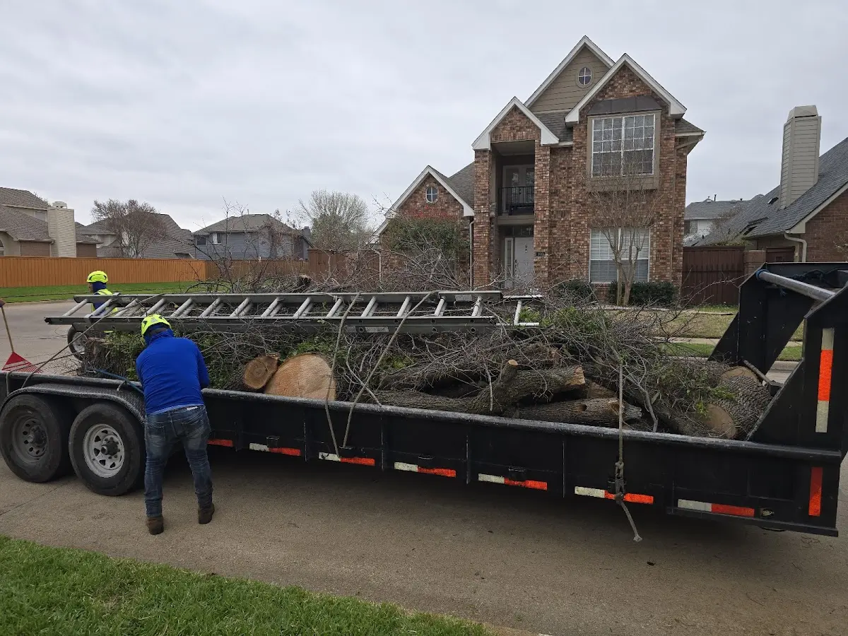 Expert Lot Clearing with proper safety equipment in Demarest